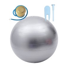 필라테스 다이어트 짐볼 +펌프세트, 실버
