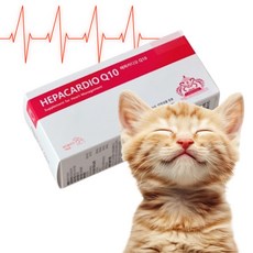 헤파카디오10 고양이영양제 심장 보조제 60정 타우린 카르니틴 코엔자임Q10 반려묘 HepacardioQ10, 1개