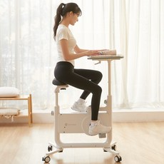 루앤 접이식 실내자전거 헬스 사이클 미니 스핀바이크 운동기구, 화이트