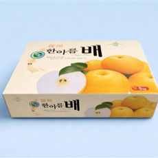 [A+등급] 산지직송 나주1호명인 나주배 과일선물세트, 1박스, 5kg