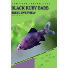 (영문도서) Black Ruby Barb: From Novice to Expert. Comprehensive Aquarium Fish Guide Paperback, Independently Published, English, 9798399481579