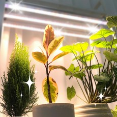 식물전파사 꿀빠 딥그린 식물등 식물조명 선반 밑 많은 화분 led식물등 세트, 3세트, 주백색