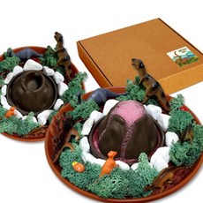 공룡시대 화산실험세트 키티박스추가 방과후과학