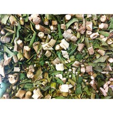 건조 황칠나무가지 잎 혼합 250g 신안군에서 20년 이상 된 황칠나무건조목간에 좋은 성분 다량 함유, 1개
