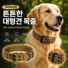 윌로우랩 중형견 대형견 튼튼한 목줄 버클 핸들, 1개, 짙은베이지 1개, 짙은베이지