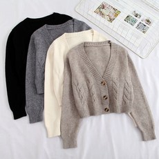 꽈배기 브이넥 니트 가디건 여자 여성 가을 가디건 니트