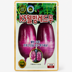 KS종묘 KS웰빙레드무 씨앗 100립 레드 적색 무 씨앗 텃밭 주말 농장 종자 ks, 1개
