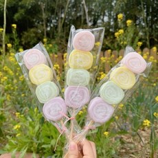 꿈꾸는솜사탕 유기농 자일리톨 롤솜꼬치 미니솜사탕, 1개, 20g