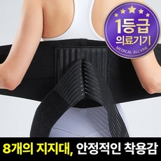 올바인 의료용 허리보호대 1등급 의료기기 AL-A01 8개지지대, 1개