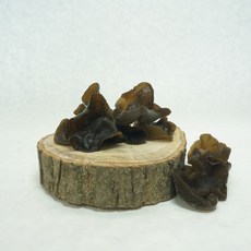 목이버섯 국내산버섯 건목이버섯 생버섯 마라탕재료, 1박스, 목이버섯(건물) 30g