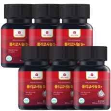 폴리코사놀 S플러스 54mg 솔트리 정품 Soltree, 6개, 60정