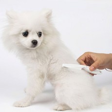 애견빗 참빗 눈꼽빗 눈물빗(소) 애완동물 벼룩빗79m8+3tPi