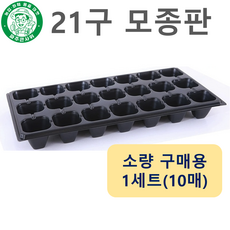 파주큰사위 튼튼한 21구 모종 트레이 파종 삽목 21공, 검정, 10개