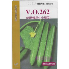 V.O.262 超級極早生小胡瓜種子 全年可種 栽培容易, 1包