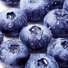[프리미엄대과] 엄선한 칠레산 생 블루베리, 750g (특대과_18mm), 1박스
