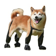 Heyoo 강아지 신발 방수 장화 일체형 신발 애견신발 야광 산책 사계절용 미끄럼방지 신발, 1개, 블랙