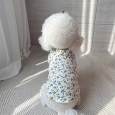 Grooming Dog 寵物奶奶風內搭T恤, 象牙白