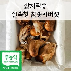 국내산 친환경 참송이 버섯 실속형 가정용, 1박스, 3kg