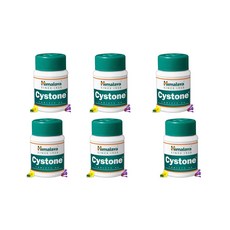 히말라야 사이스톤 Cystone 60정 X 6세트 신장결석 요로결석, 6개