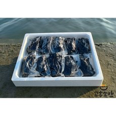 고흥 물김 개별진공포장 산지직송, 250g, 10개