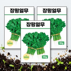 장평열무 씨앗 종자 30g, 3개