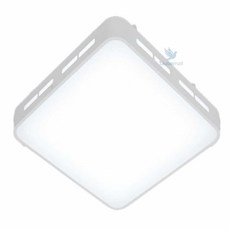 웻디어 뉴 페어 방등 50W 주광 LED방조명