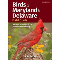 (영문도서) Birds of Maryland & Delaware Field Guide: Includes Washington D.C. and the Chesapeake Bay Paperback, Adventure Publications, English, 9781647553708