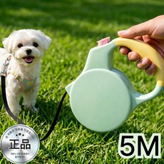 쿠미프 반려동물 고급형 꼬임 방지 자동 리드줄, 1개, 그린민트