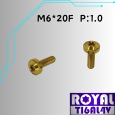 【瘋螺絲】ROYAL M6*20F P:1.0 飛碟頭螺絲 64鈦 土豪金, 1個