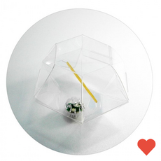 과학완구 반짝반짝 투명 점핑볼