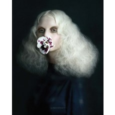 Past Present Hardcover, Nhp Publishing, English, 9789187815454