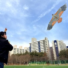 gg1 독수리연 1개 연날리기얼레세트