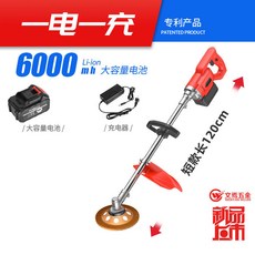 鋰電除鏽機 充電式長桿打磨機 除鏽器 工字鋼鐵拋光 彩鋼瓦翻新, 1個, 升級款除鏽機【一電一充-1.2米】+金剛