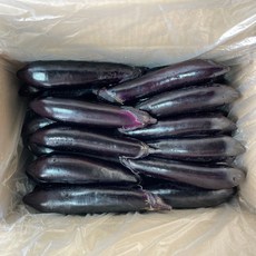 국내산 가지 특품 가정용 못난이 2.5kg 5kg, 못난이 가지 5kg, 1개