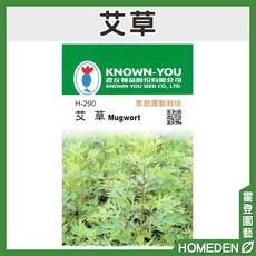 KNOWN-YOU 艾草種子 H-290, 1個, 一包(約100粒)
