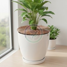 가몽 화분 흙덮개 원형 넓은화분, 블랙