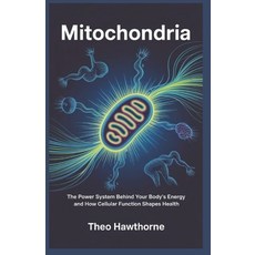 (영문도서)Mitochondria: The Power System Behind Your Body's Energy and How Cellular Functi... Paperback, Independently Published, English, 9798242310438