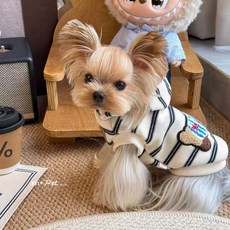 애완동물 겨울 후드티 가을용 강아지 고양이 소형견 편안한 착용감, 1개, 퍼피스트라이프-화이트