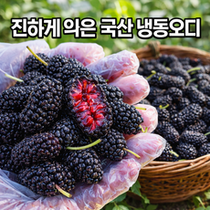 팜온네이처 국산 냉동오디 1kg 2kg 4kg 5kg 세척 급속냉동 토종오디 오디열매 냉동과일 고창 햇오디, 1박스, 오디 특품 2kg