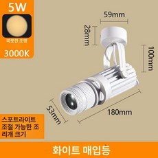 연극무대 천장형 집중조명 전시회 천장 웨딩홀 식장, 화이트 천장형 5W 웜 3000K, 1개