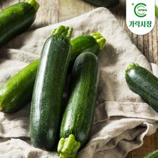 [온도씨]가락시장 당일경매 애호박 1개