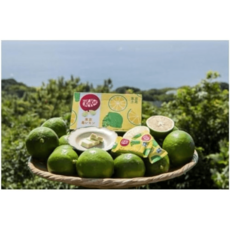 네슬레 킷캣 도쿄 시마 레몬 초콜릿 크리스마스 수능 일본 쇼핑리스트 일본고급초콜릿, 1개