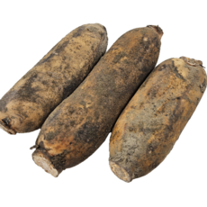 <당일출고> 국내산 햇연근 흙연근, 1박스, 햇연근 1kg