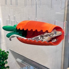 테라돔 도마뱀 안식처, 제주당근