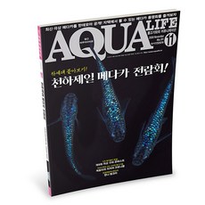 아쿠아라이프 2020년 11월호