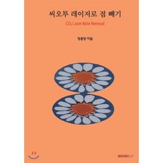 씨오투 레이저로 점 빼기 (흑백판), BOOKK(부크크), 9791137224889, 정종영 저