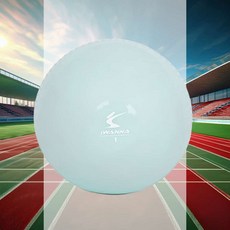 소프트 필라테스 토닝볼 2개세트 1kg 크로스핏 마사지 홈트레이닝 소도구 운동 실내