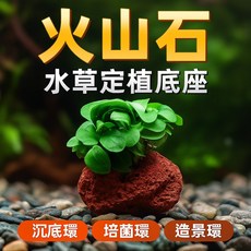 火山石定植環 水草固定底座 沉底造景 火山岩培菌, 1個