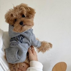 안다스팡 강아지 기모 후드티 겨울 방한 캐주얼 우븐 데일리 강아지옷 여행 캠핑 애완 동물 옷, 1개, 회색