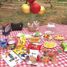 加厚彩膜野外露營墊 戶外野炊野餐地墊 草坪鋪地防潮墊, 升級版：紅色,150釐米*200釐米-送收納袋